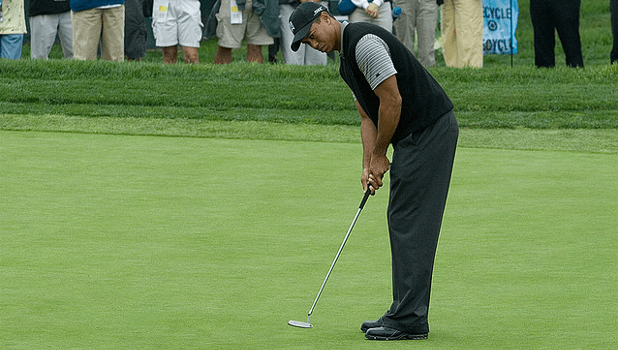 tigerputting620