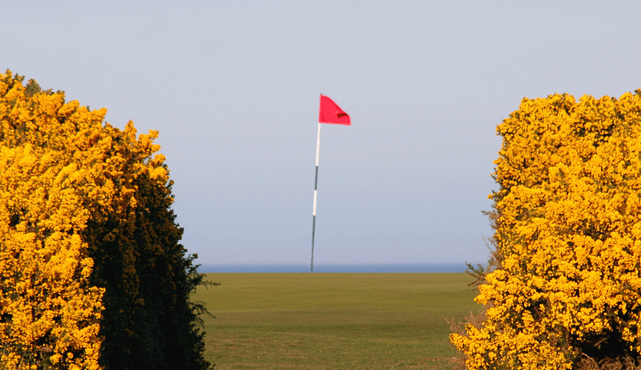 Focus On Before A Golf Shot