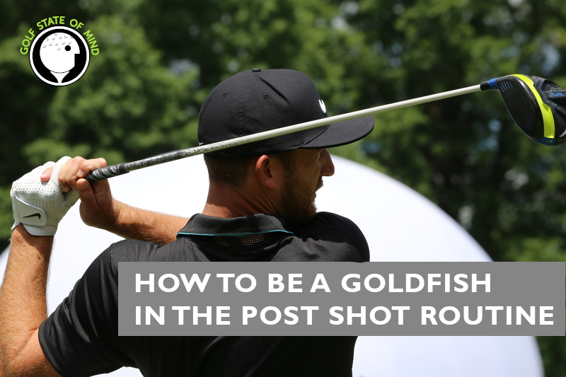 How to Be A Goldfish in The Post Shot Routine For Golf
